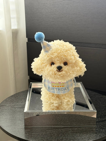 Preserved Flowers - Birthday Bichon small