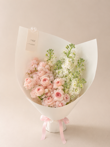 Limited！Fairy Kiss Pearl