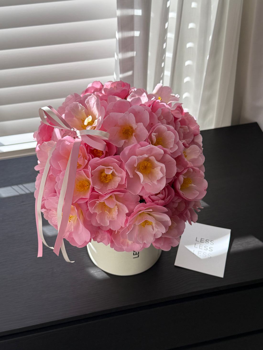 Hat Box Camellia Kiss