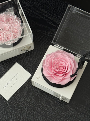 Preserved Flowers - Rose Bluetooth Speaker