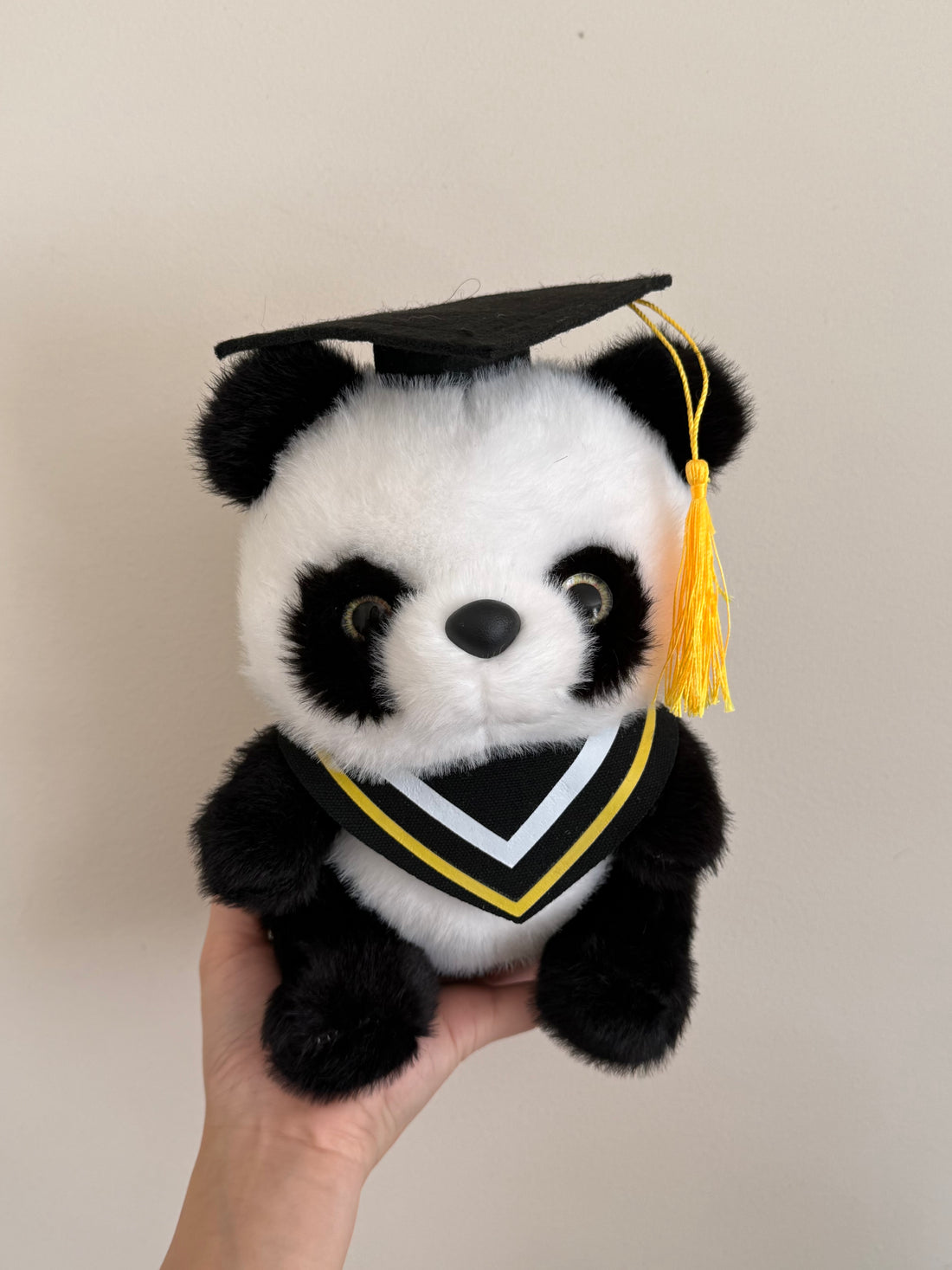 Graduation Panda