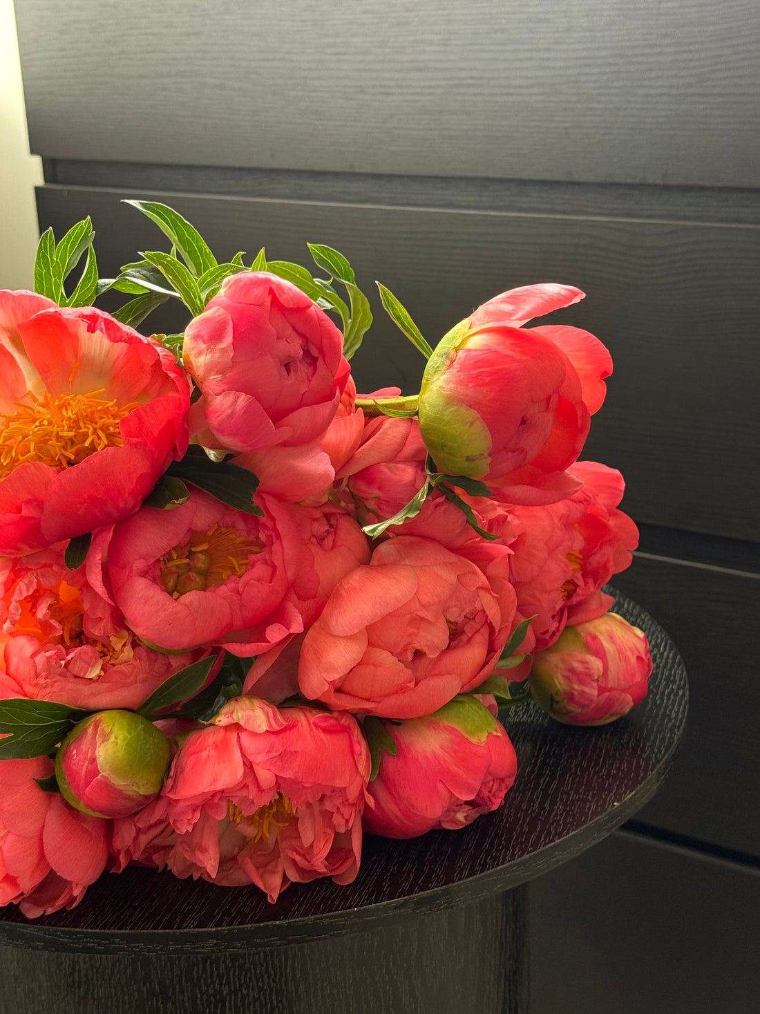 3 PAEONY CORAL SUNSET